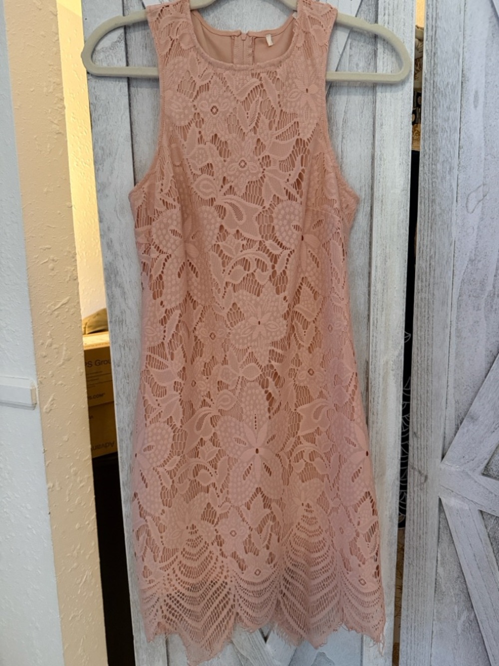 Kentucky Derby Beautiful Anthropologie Blush Lace Midi Dress! Very rare Sz small
